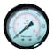 Tru-Flate Tru-Flate Polycarbonate Air Line Gauge 1/4 in. NPT 300 psi 1 pc 24804 - alternate 1